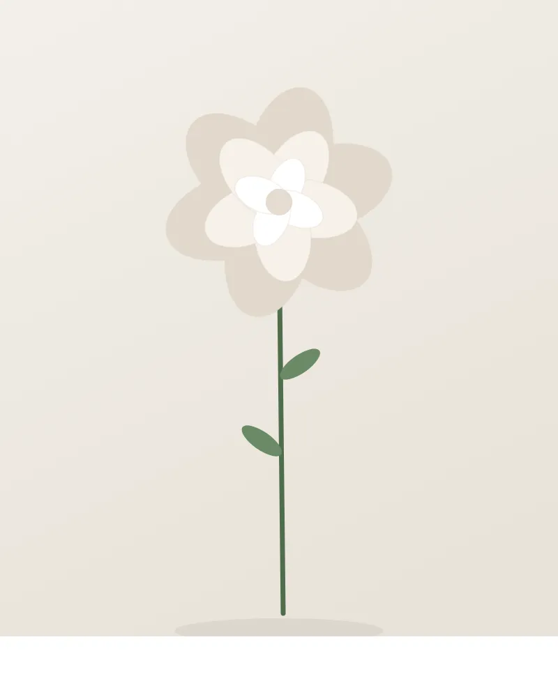 Rose Weiß